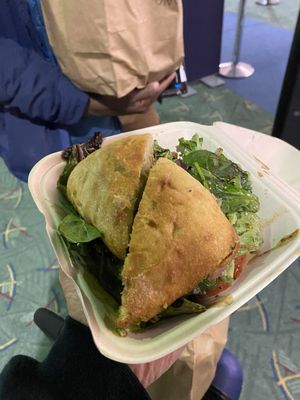 Night Owl PNW by null