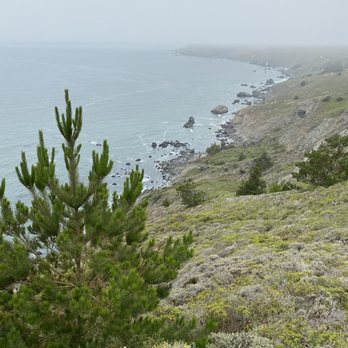 Muir Beach Overlook - California coastline. - Parks Near Me - Muir Beach, California