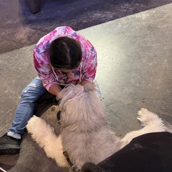 Tack Shed - Patrons sat on floor to visit our Pup. - Dive Bars Near Me - Kingman, Arizona Tack Shed - Patrons sat on floor to visit our Pup. - Dive Bars Near Me - Kingman, Arizona