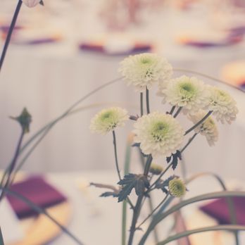 Richelle Juniper Photography - Event Photography Near Me Richelle Juniper Photography - Event Photography Near Me