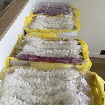Sunrose Floral - Beautiful leis and well packaged so that I could hand out as gifts. - Florists Near Me Sunrose Floral - Beautiful leis and well packaged so that I could hand out as gifts. - Florists Near Me