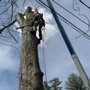 Johnny’s Landscape and Tree Service