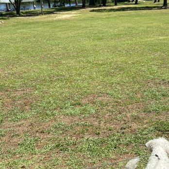 Tom Brown Park - Dog Parks Near Me - Tallahassee, Florida Tom Brown Park - Dog Parks Near Me - Tallahassee, Florida
