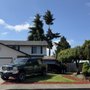 Photo of Ruiz Tree Service