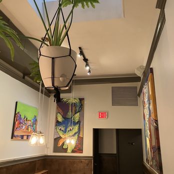 Stray Cat Bar & Grill - a plant hanging from the ceiling - Beer, Wine & Spirits Near Me - Arlington, Virginia Stray Cat Bar & Grill - a plant hanging from the ceiling - Beer, Wine & Spirits Near Me - Arlington, Virginia