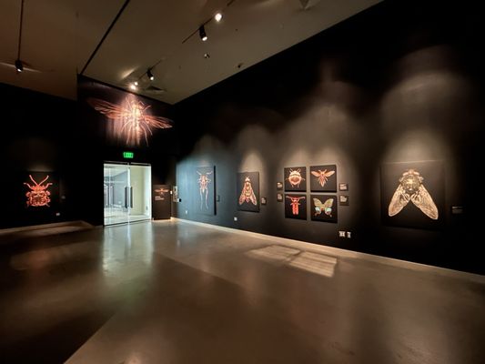 Natural History Museum of Utah by null