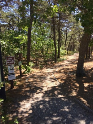 Great Island Trail by null