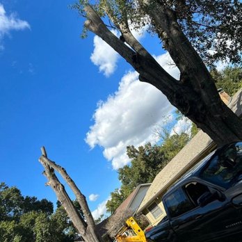 Banda's Tree Service And Lawn Care - Tree Services Near Me - Tyler, Texas Banda's Tree Service And Lawn Care - Tree Services Near Me - Tyler, Texas