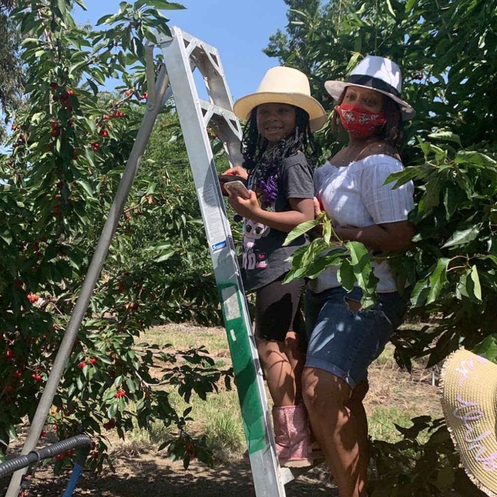 Freitas Cherry Ranch - Pick Your Own Farms Near Me - Brentwood, California Freitas Cherry Ranch - Pick Your Own Farms Near Me - Brentwood, California