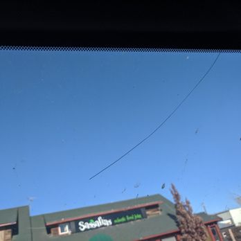 Action Glass - Non fixable hairline chip from a rock - Auto Glass Services Near Me