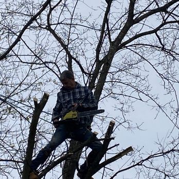 Thomas's Tree Services - Stepping across - Tree Services Near Me - Heiskell, Tennessee Thomas's Tree Services - Stepping across - Tree Services Near Me - Heiskell, Tennessee