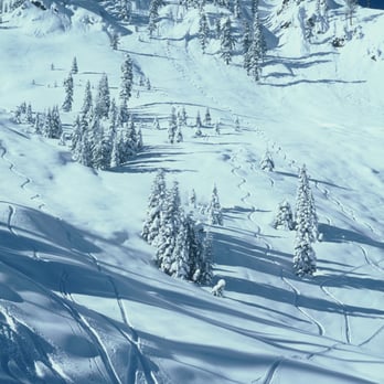 Skyline Bear Valley Resort - Patrol tracks down Strawberry Fields off West Ridge, 1978. - Ski Resorts Near Me - Bear Valley, California