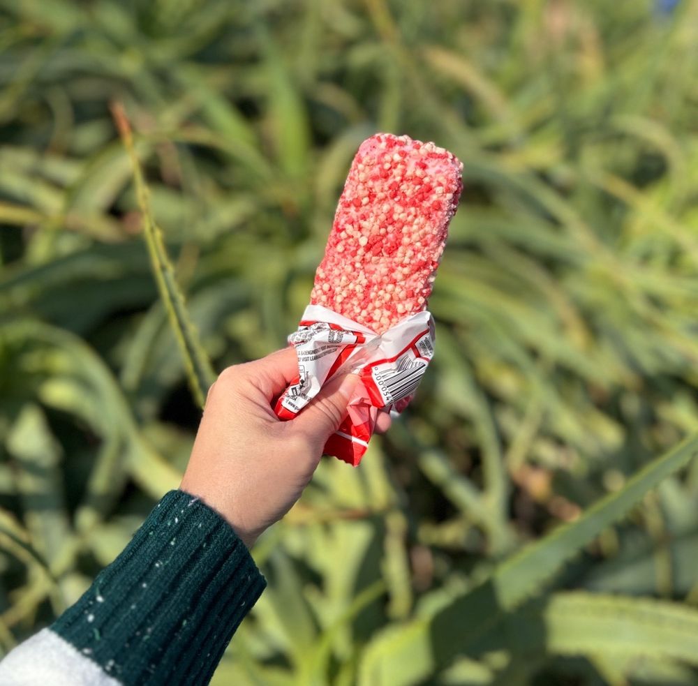 Ms. Debbie's Ice Cream Truck Logo