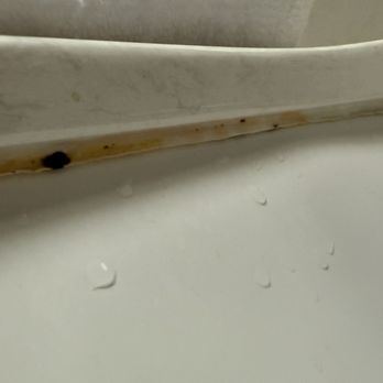 Oceanpoint Ranch - Have no idea what this gunk is balls of ? something all over bathroom in bathtub sink and floor - Hotels Near Me - Cambria, California
