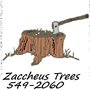 Photo of Zaccheus Trees