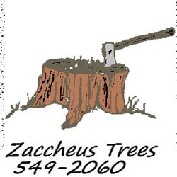 Zaccheus Trees - Greensboro tree removal