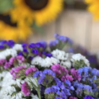 Briermere Farms - a bunch of flowers - Bakeries Near Me - Riverhead, New York