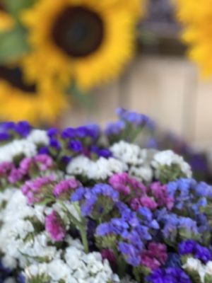 Briermere Farms by null