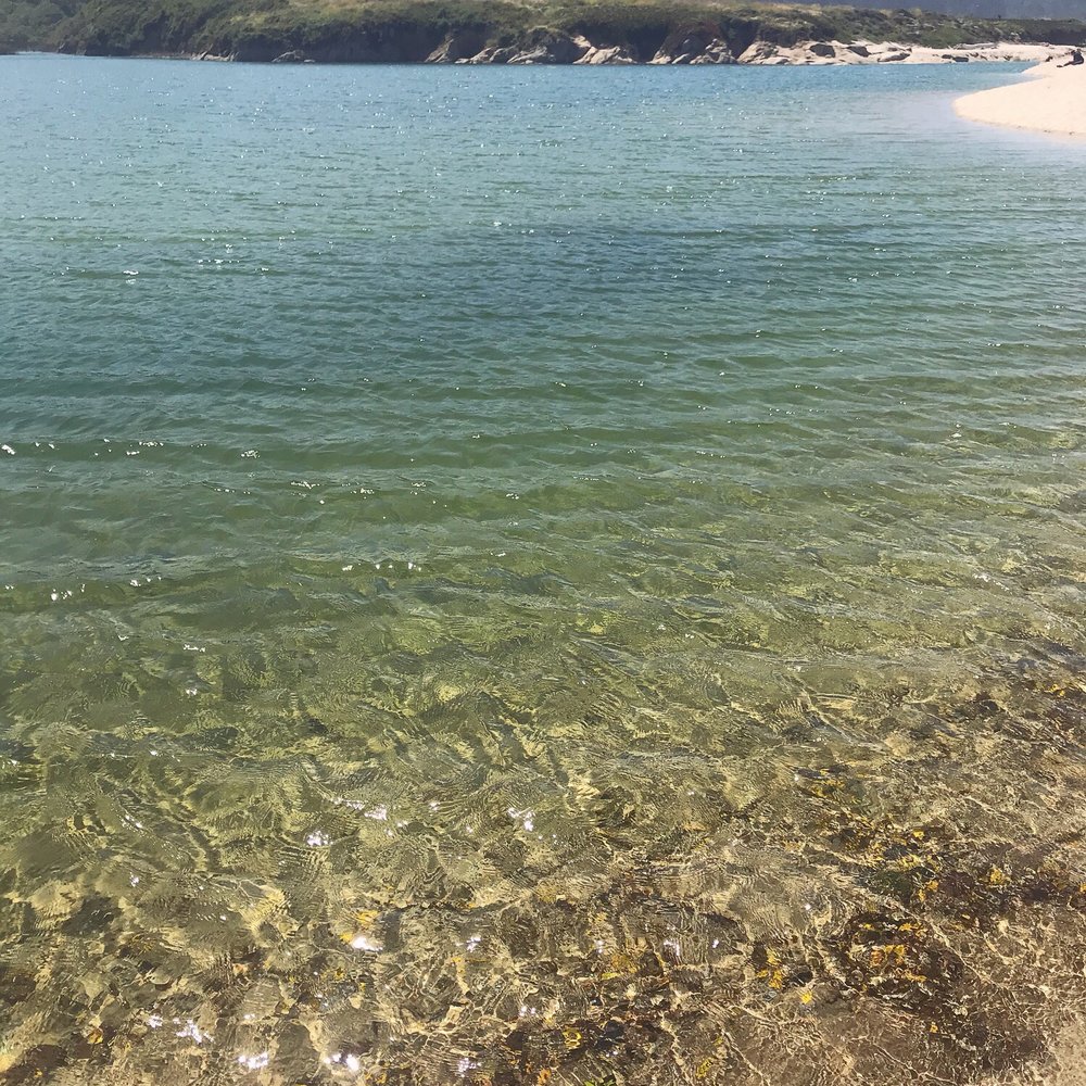 Carmel River State Beach - Beaches Near Me - Carmel, California