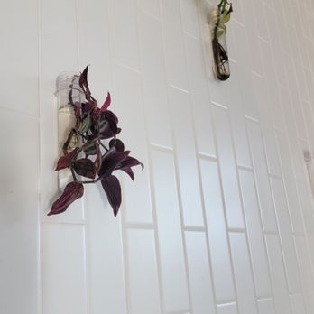 BREW Coffee Bar - McNeill Point - Love this idea - Coffee & Tea Near Me - Raleigh, North Carolina BREW Coffee Bar - McNeill Point - Love this idea - Coffee & Tea Near Me - Raleigh, North Carolina