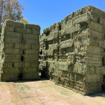 Rochas Farm Feed - Pacas de alfalfs - Livestock Feed & Supply Near Me - Perris, California Rochas Farm Feed - Pacas de alfalfs - Livestock Feed & Supply Near Me - Perris, California