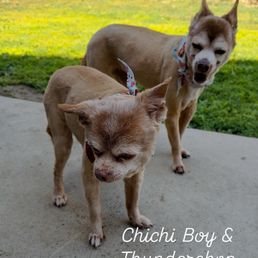 Chichi Boy and Thunderchop Chichi Boy and Thunderchop