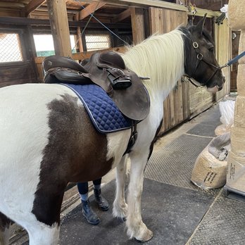 A Step Above Stables - Horseback Riding Near Me - Blairsville, Georgia