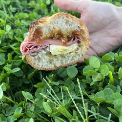 The Wine & Cheese Cask - Ham and Brie sandwich (minus red peppers)