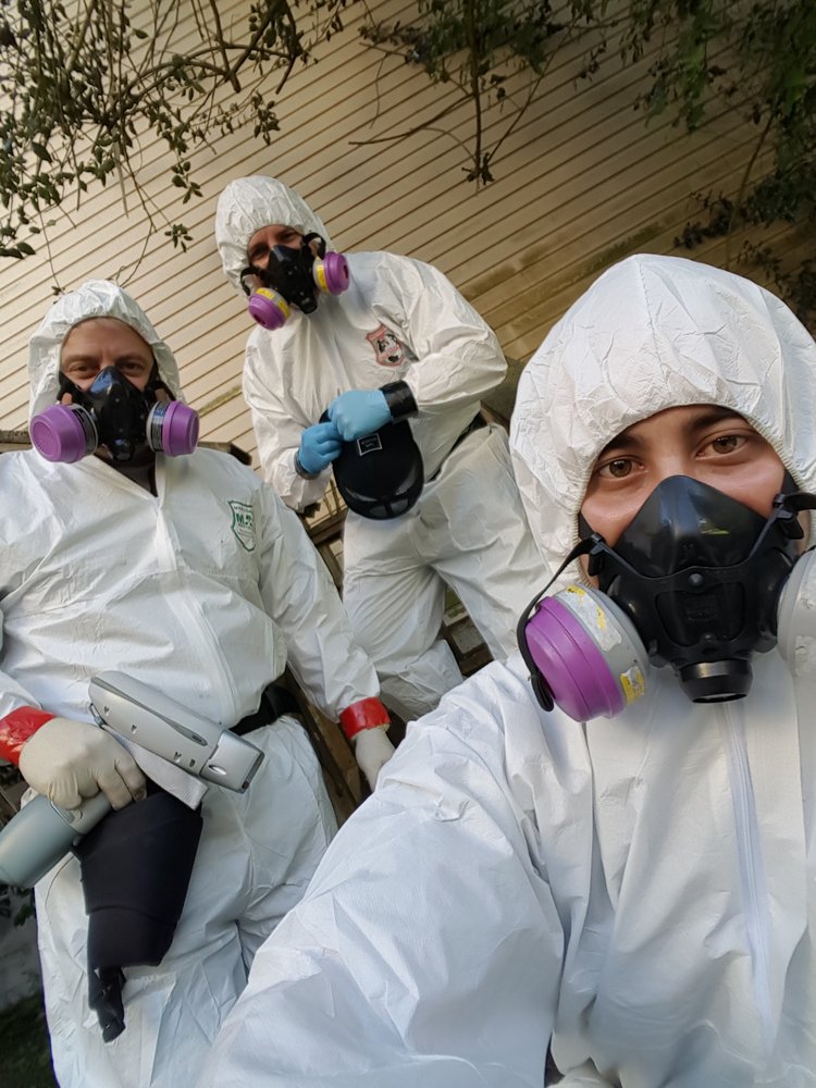 Benchmark Environmental Engineering - mold inspector in San Jose, CA