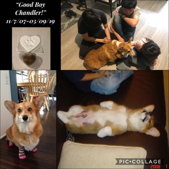 Heaven From Home - Veterinarians Near Me