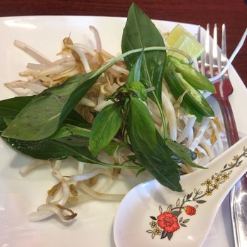 Pho 9 - Sad looking veggie plate - Vietnamese Near Me - West Jordan, Utah Pho 9 - Sad looking veggie plate - Vietnamese Near Me - West Jordan, Utah