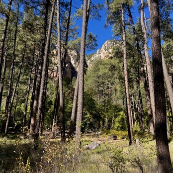 Coconino National Forest - Public Services & Government Near Me - Flagstaff, Arizona Coconino National Forest - Public Services & Government Near Me - Flagstaff, Arizona