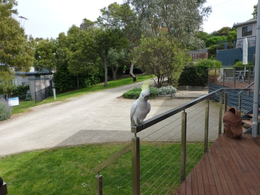 Aireys Inlet Getaway - Self Contained Villas with pool and tennis court by null