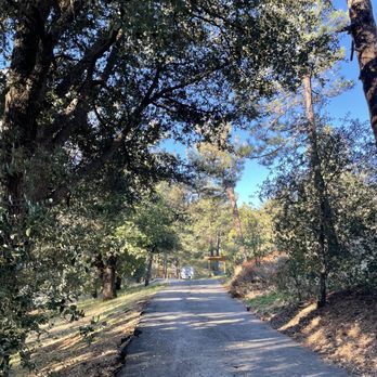 Paso Picacho Picnic and Campgrounds - Road - Campgrounds Near Me - Descanso, California Paso Picacho Picnic and Campgrounds - Road - Campgrounds Near Me - Descanso, California