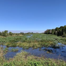 Weston Regional Park - Edge of the Everglades, right next to the park.