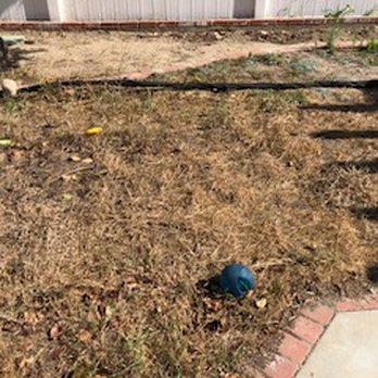 Kalorama Landscape - Prior lawn replacement job from a couple years ago. Ground sloped toward the house. - Landscaping Near Me Kalorama Landscape - Prior lawn replacement job from a couple years ago. Ground sloped toward the house. - Landscaping Near Me