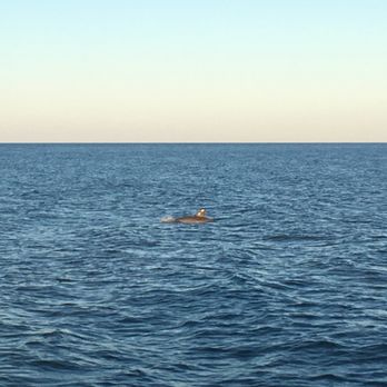 Rudee Tours - Tours Near Me - Virginia Beach, Virginia Rudee Tours - Tours Near Me - Virginia Beach, Virginia