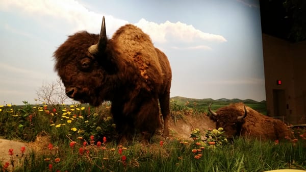 Sam Noble Oklahoma Museum of Natural History by null