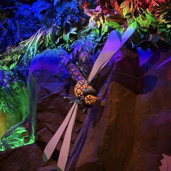 Rainforest Cafe - American Near Me - Ontario, California Rainforest Cafe - American Near Me - Ontario, California
