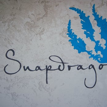 Snapdragon Salon - SnapDragon Studio - Hair Salons Near Me - Phoenix, Arizona