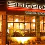 Photo of Shiitake