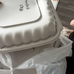 JC's BBQ & Grill - Kid's Grilled Cheese Basket. hair on the plate pulled out of the bag.