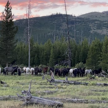 K Lazy Three Outfitters - Horseback Riding Near Me - Big Timber, Montana K Lazy Three Outfitters - Horseback Riding Near Me - Big Timber, Montana