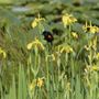 Photo of Otters Pond Bed And Breakfast