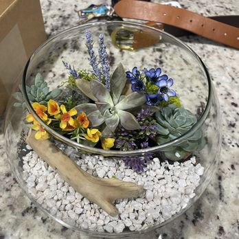 PlantHouse - Nurseries & Gardening Near Me - Richmond, Virginia