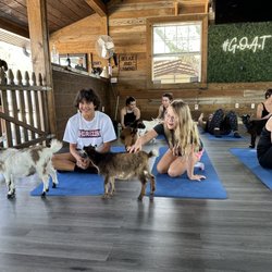 Alaska Farms - Kids, yoga and goats!