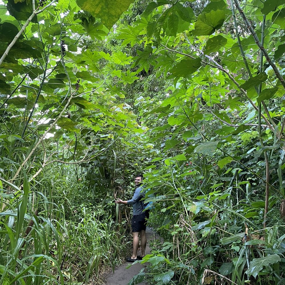 Kayak Wailua Tours - Tours Near Me - Kapaa, Hawaii