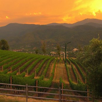 Dana Campbell Vineyards - sunset over the vineyards - Wineries Near Me - Ashland, Oregon Dana Campbell Vineyards - sunset over the vineyards - Wineries Near Me - Ashland, Oregon