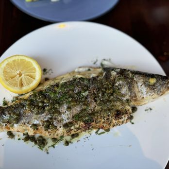 Ouzo Bay - Aegean Bronzino - Greek Near Me - Baltimore, Maryland Ouzo Bay - Aegean Bronzino - Greek Near Me - Baltimore, Maryland