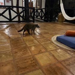 Xaloc Resort - Nature at its best. We made friends.